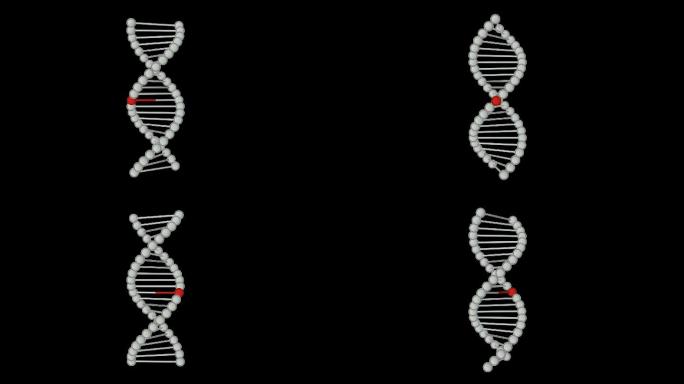循环通道基因突变DNA突变