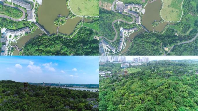 泸州张坝桂圆林风景区航拍