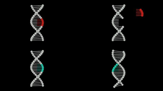 DNA编辑基因编辑通道