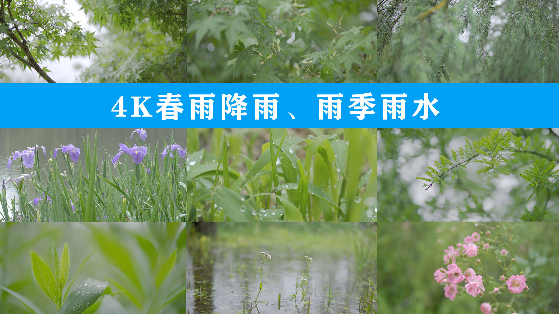 申请光厂帮我买单