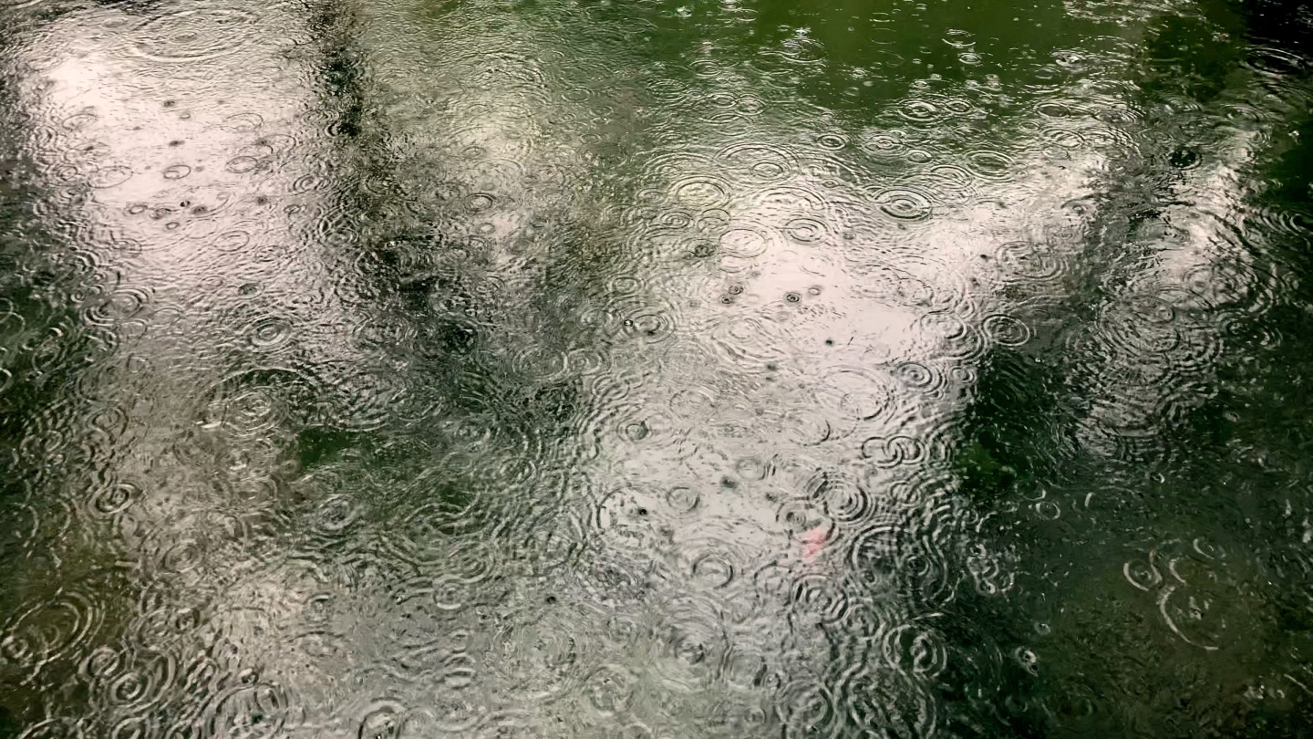 4k黑虎泉济南下雨天雨滴水纹（可商用）