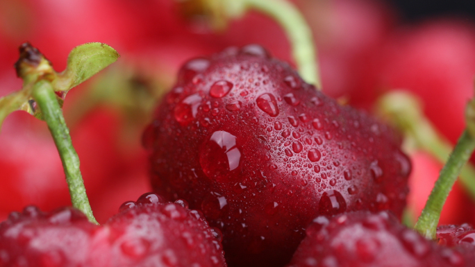 樱桃-红樱桃-水果-创意拍摄-果实