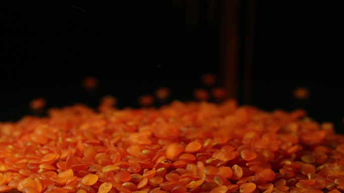 洒落的红扁豆