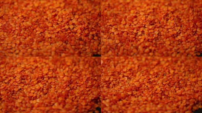土耳其红小扁豆