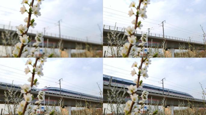 【原创】高铁交汇通过春暖花开复工复产