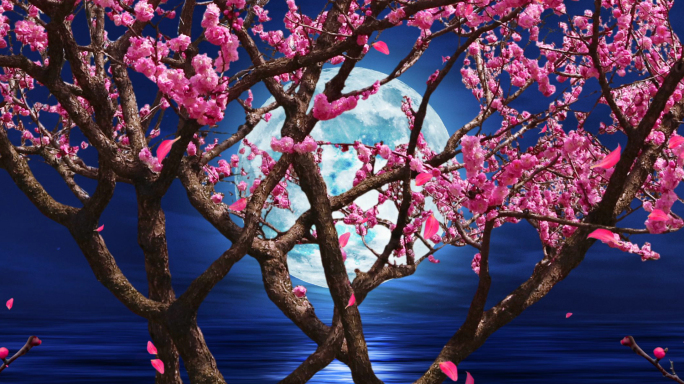 6K夜景月亮梅花树全息餐厅投影成套