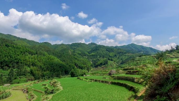 【正版素材】清远连山梯田