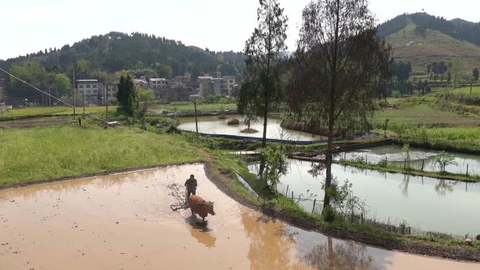 15组传统农垦耕地多角度分镜素材