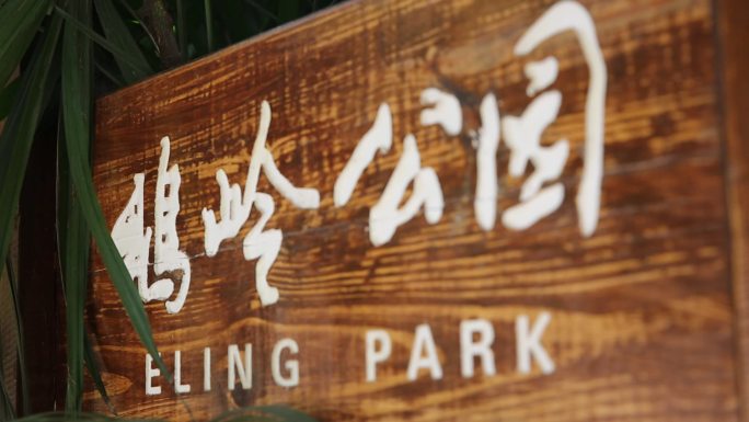 重庆鹅岭公园变焦高清实拍素材