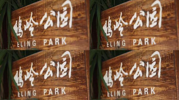 重庆鹅岭公园变焦高清实拍素材