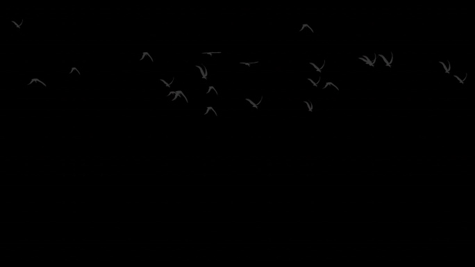 大雁飞鸟带通道模板