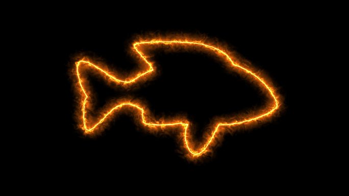 4K火焰光电描小鱼通道视频