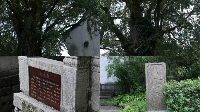 李白书堂古建筑园林古代传说古井古代书院