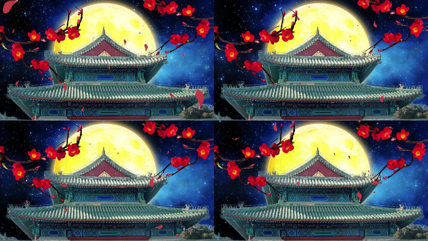 中国风古建筑皇宫月亮星空抒情唯美背景视频