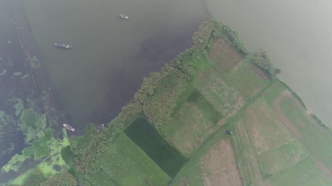 航拍4K大气蚌埠五河县沱湖湿地风景