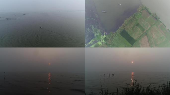 航拍4K大气蚌埠五河县沱湖湿地风景