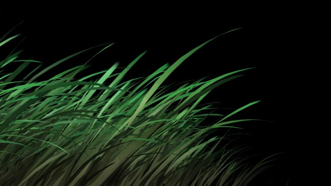 草生长动画 透明通道视频素材