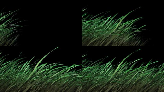 草生长动画 透明通道视频素材