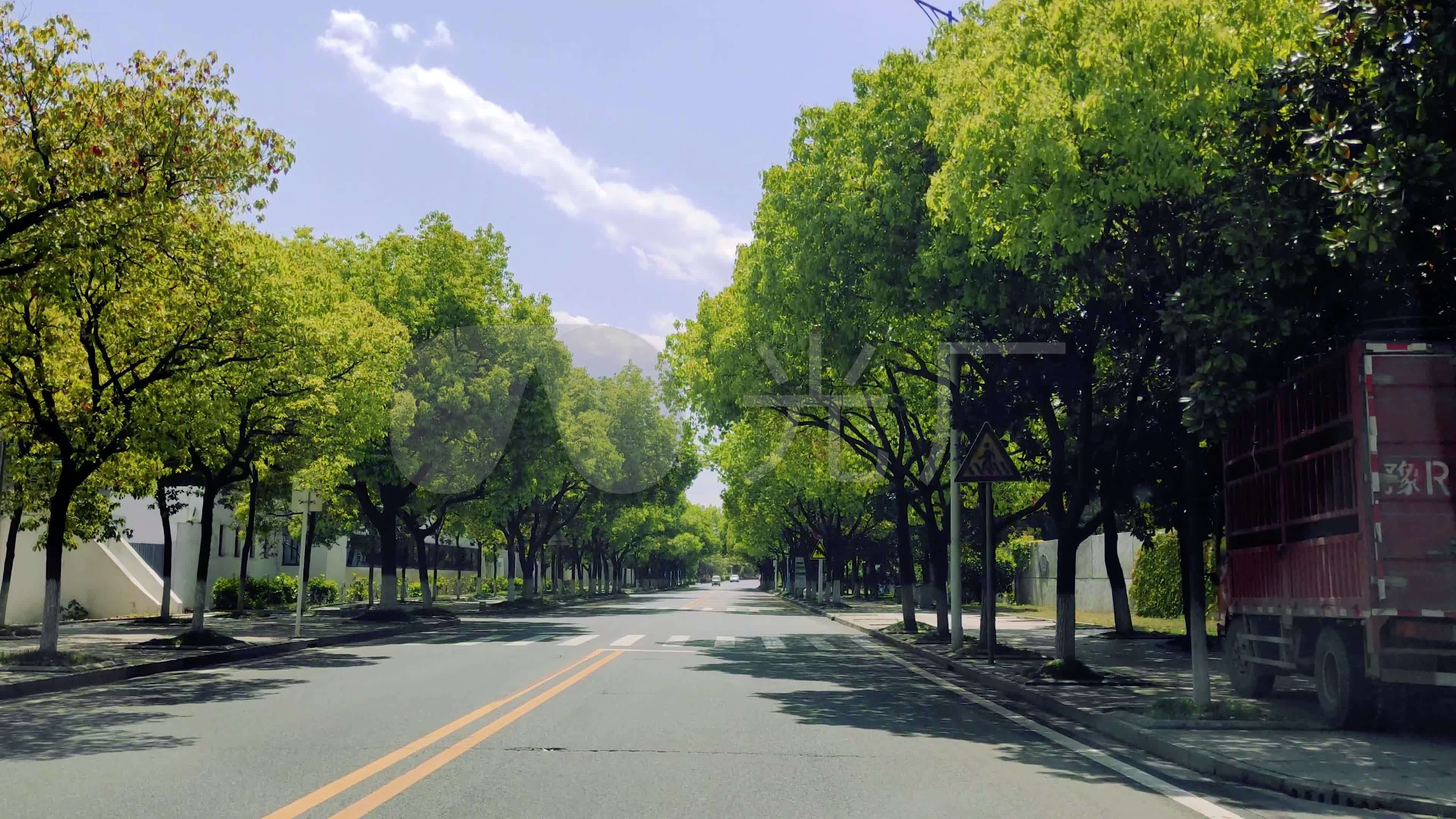 绿荫道路4k马路斑马线交通干净整洁的道路_3840x2160_高清视频素材