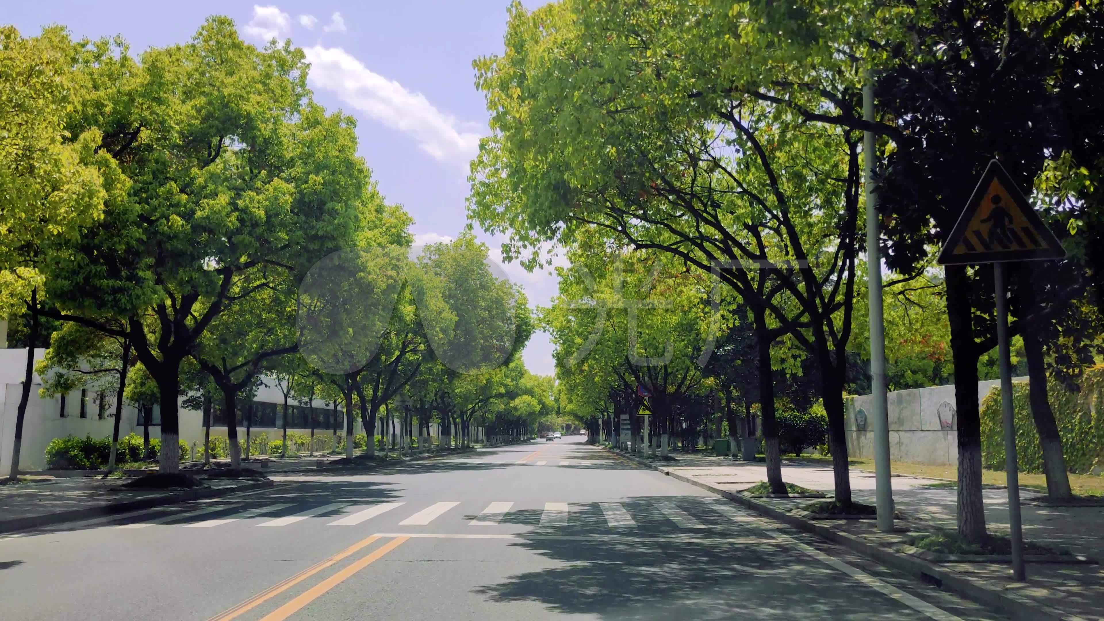绿荫道路4k马路斑马线交通干净整洁的道路_3840x2160_高清视频素材