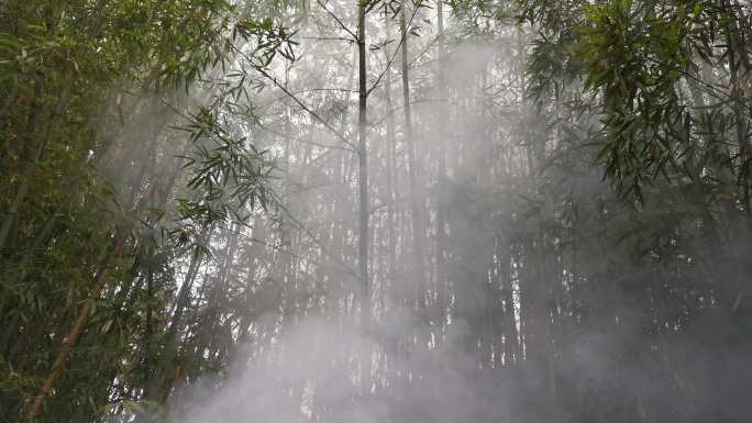 露天垃圾焚烧空气污染生活垃圾焚烧