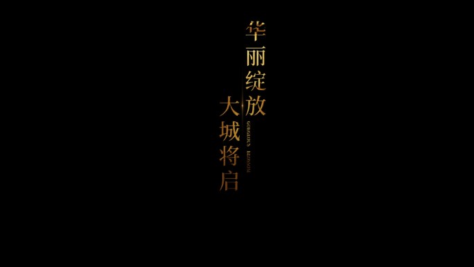 金色字幕条会声会影模板