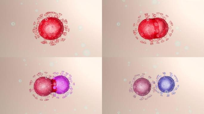 病毒分裂变异