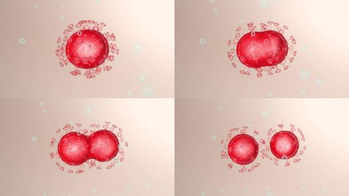 新型冠状病毒分裂繁衍生长