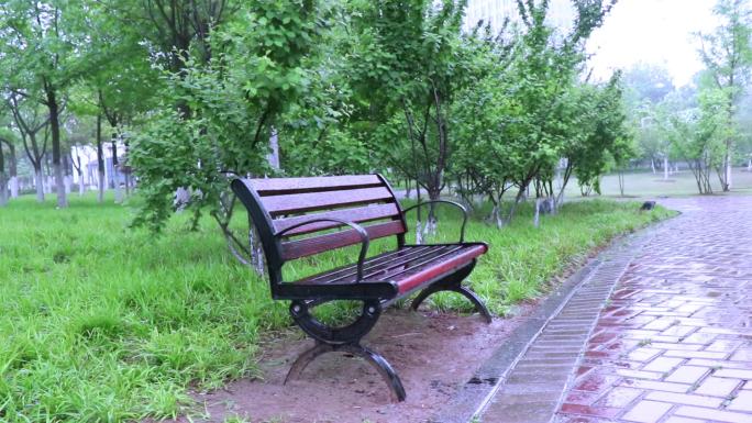公园雨中的孤独的长椅