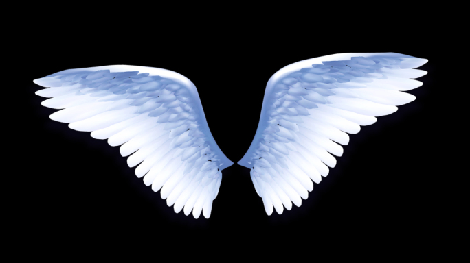翅膀