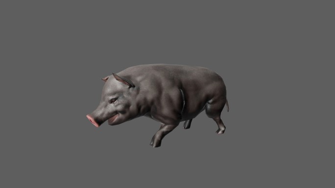 【4K.60帧】—黑猪