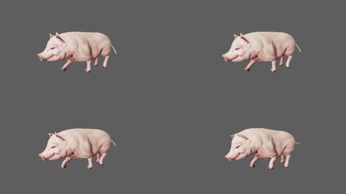 【4K.60帧】—猪