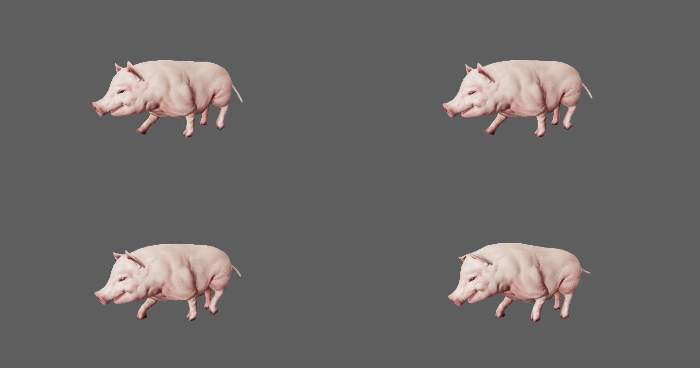 【4K.60帧】—猪