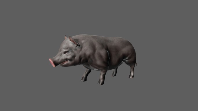 【4K.60帧】—黑猪