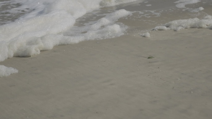 沙滩海边海水污染泡沫