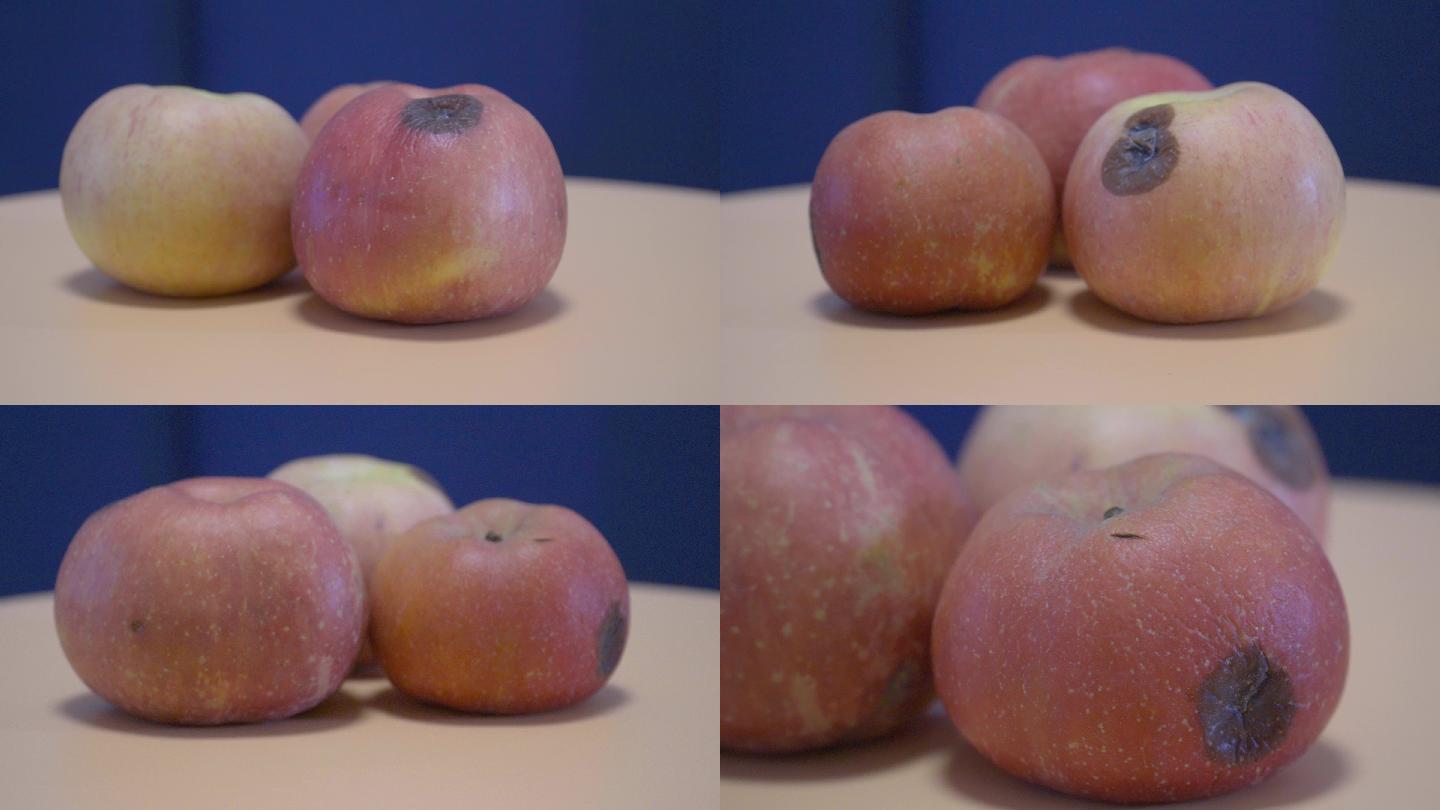 4K烂苹果-水果腐烂变质