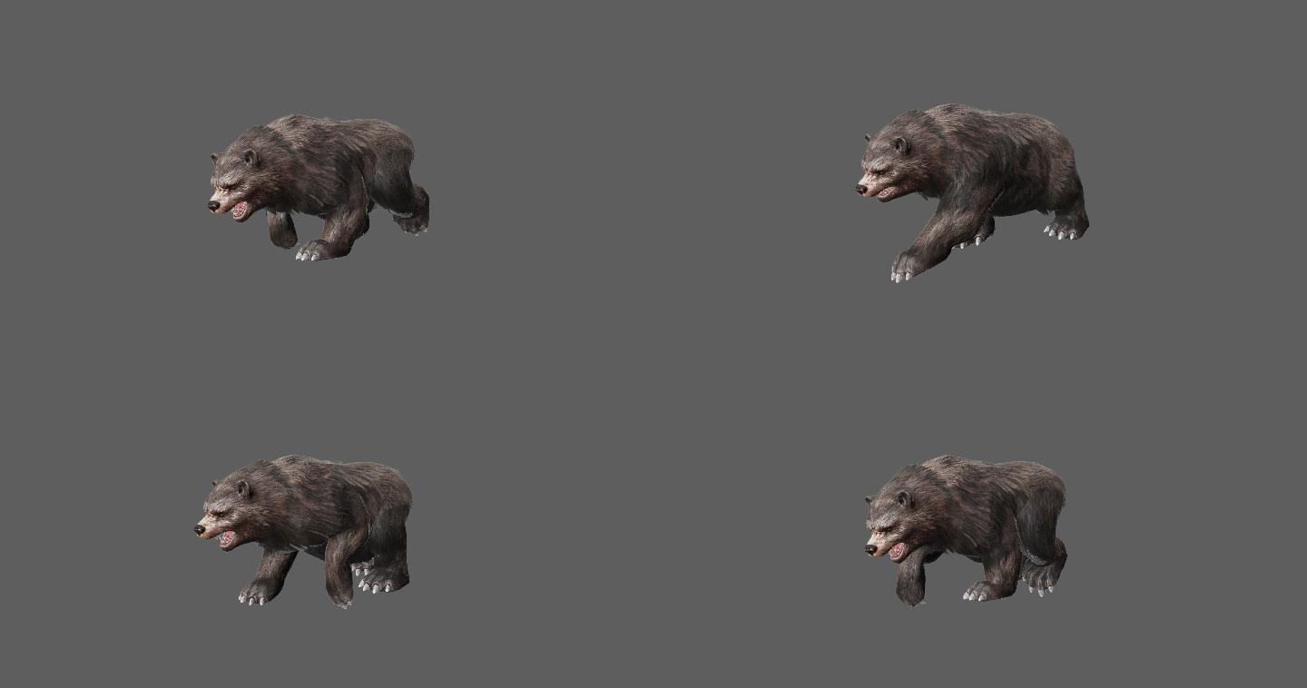 【4K.60帧】—黑熊