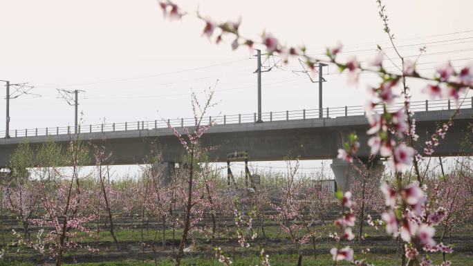 【原创】和谐号高铁