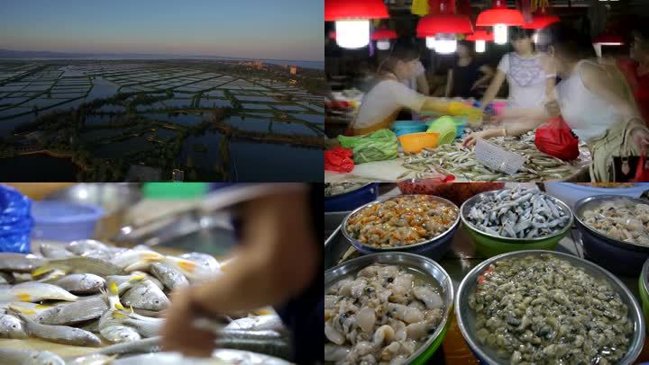 海鲜市场 视频素材包下载 编号 实拍视频 Vj师网www Vjshi Com