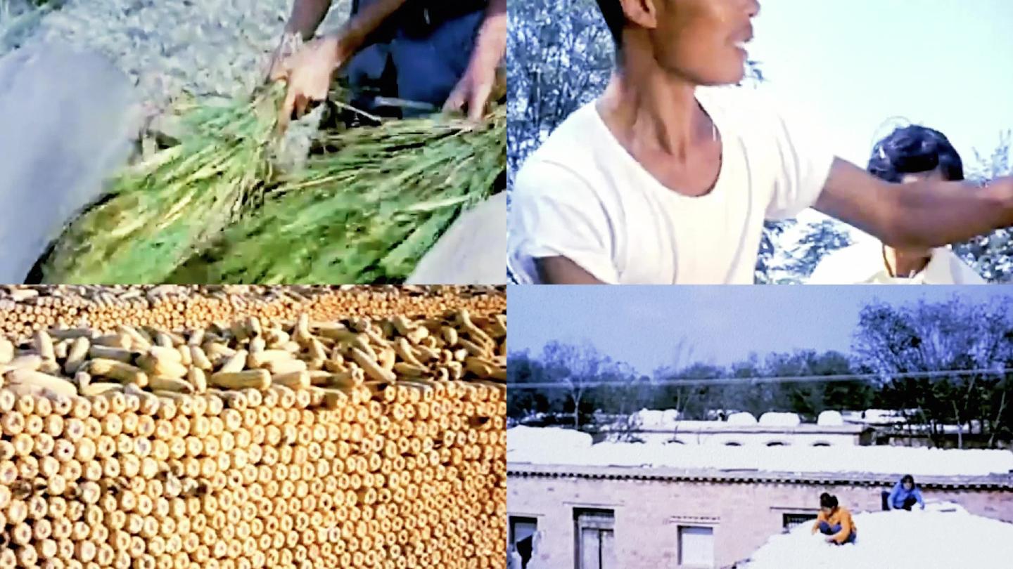 80年代农村农业生产种植