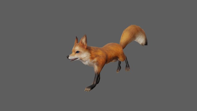 【4K.60帧】—狐狸