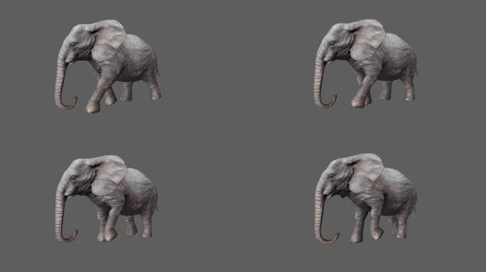 【4K.60帧】—大象