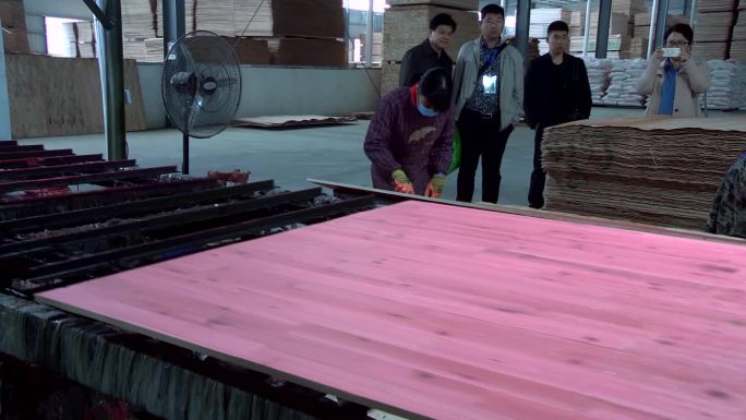 木片厂木材加工厂木材深加工大型木材木板厂