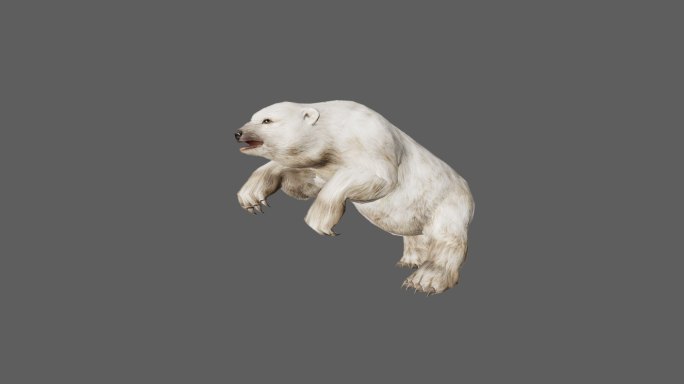 【4K.60帧】—白极熊