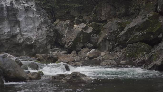 湖北神农架原生态水源河流