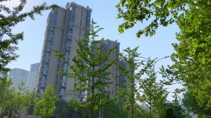 【原创】4K阳光林荫大道、绿色道路