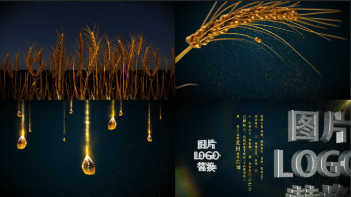 【原创】农业粮食_AE片头