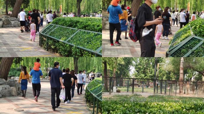公园假期放假游玩动物园北京动物