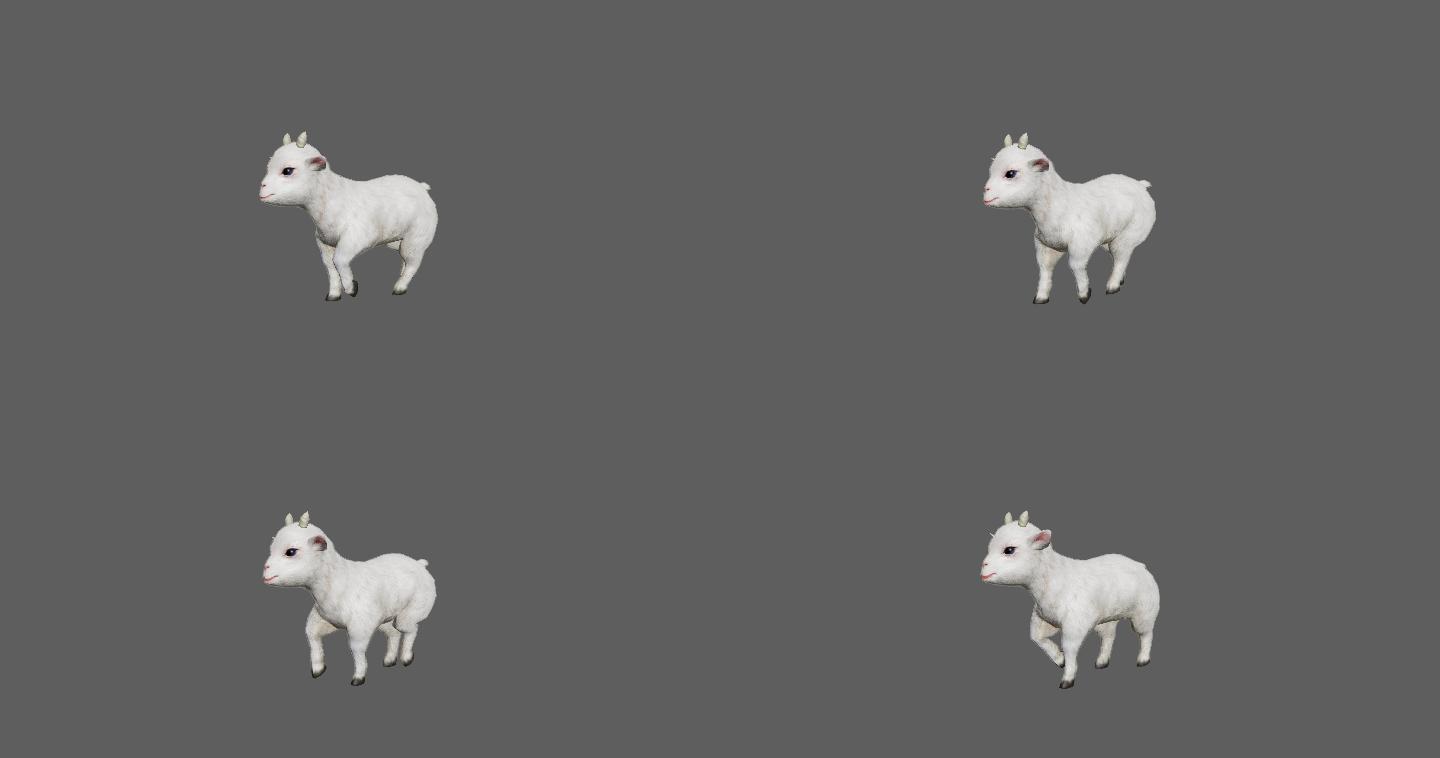 【4K.60帧】—小羊