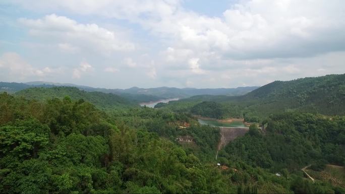 西双版纳勐海茶山